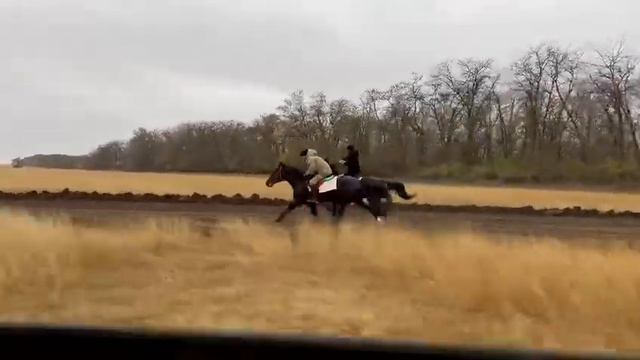 Иноходец. Сенсей Ч и Фирмач. смотреть онлайн