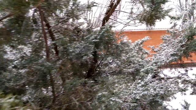 ПЕРВЫЙ СНЕГ / ПЕКУ ПЕЧЕНЬЕ ШИШКА смотреть онлайн