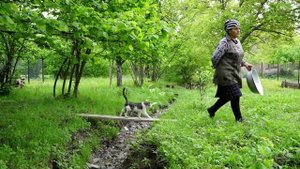 Домашний сиреневый сироп Азербайджанская Кухня Деревенская Кухня Рецепты