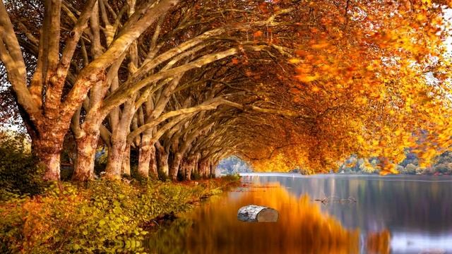 Избавиться от навязчивых мыслей, расслабиться и крепко уснуть, лечебная музыка для сна смотреть онлайн