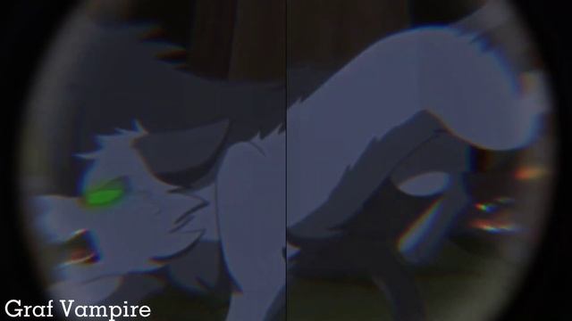 Клип~Коты~Воители/Blood/Water/Если вода вся окрасится кровью/Заказ смотреть онлайн