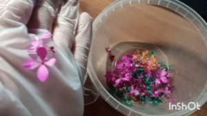 Результаты сушки в манке