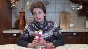 Однолетние цветы для сада  Папавер.