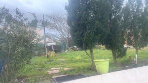 Кто-то ворует яйца 🥚 у кур 🧐Бытовуха