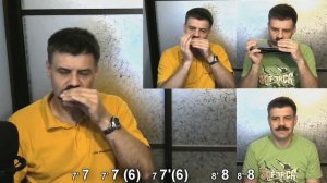 Blue canary на губной гармошке