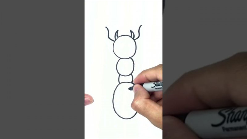 Как нарисовать муравья пошагово | How to draw an Ant Step by Step