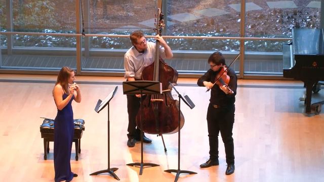 Erwin Schulhoff "Concertino for Flute, Viola, and Double Bass" Patrick Raynard Junior Recital смотреть онлайн