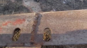 Плоскорез  для мотоблока