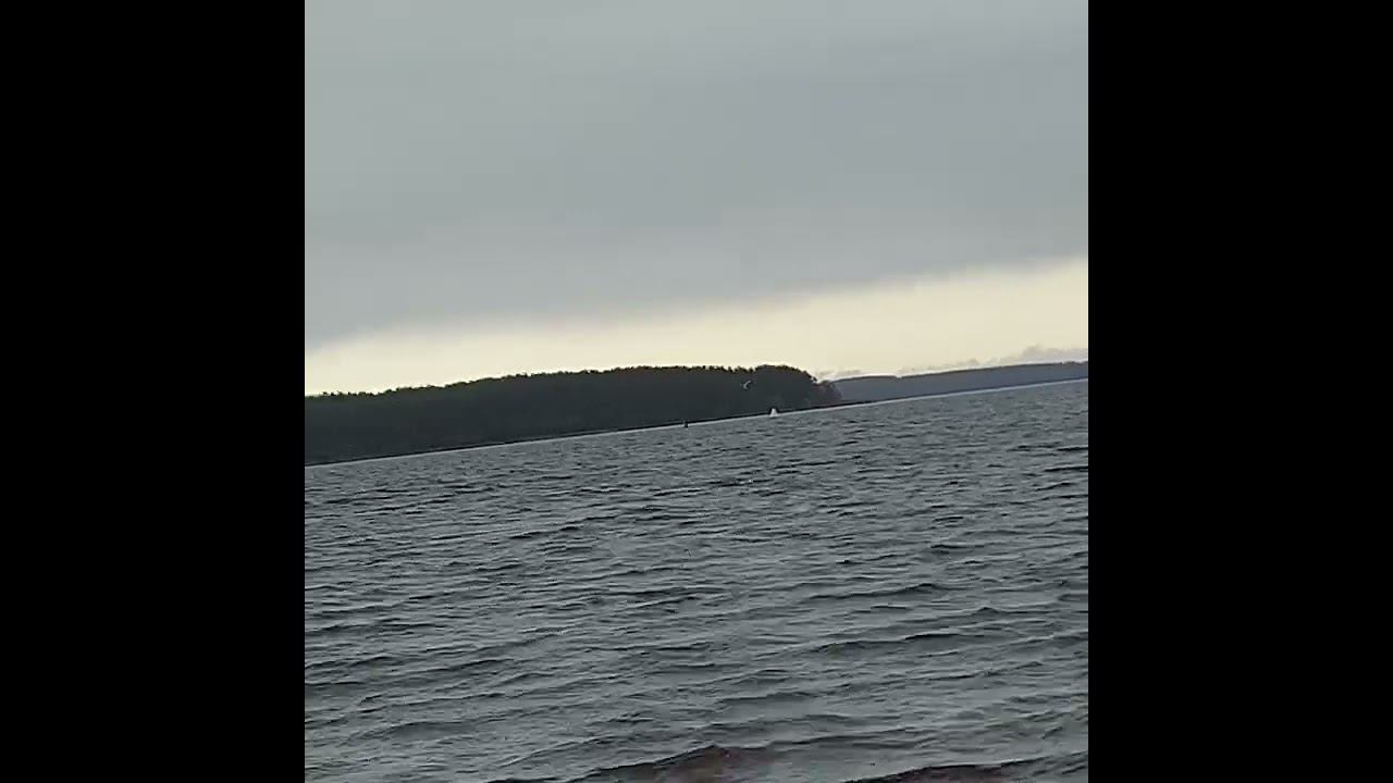 Река Волга, город Калязин, с набережной Парка Победы (08.11.20)