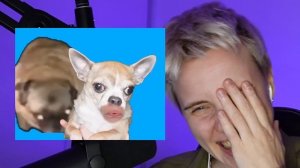 РЕАКЦИЯ НА КЛИП ХОЛИ БАМА И ОЛИ КЕКС // реакция на реакцию Mikha Zen