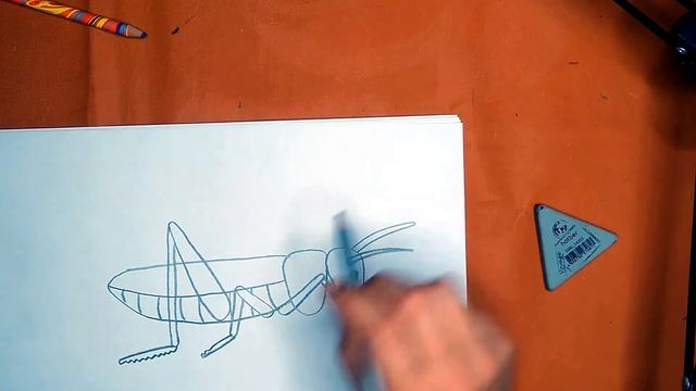 Как нарисовать кузнечика. Онлайн-школа рисования "Малевашки"