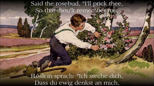 Heidenröslein [Sah ein Knab ein Röslein stehn] (+ subtitles)