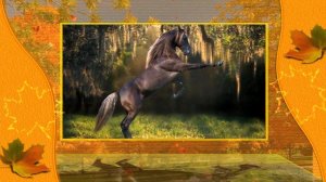 давру даврон тулпорингдан тушганигда