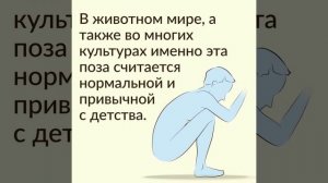 Как правильно ходить в туалет!