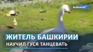 Житель Башкирии научил гуся исполнять национальный танец