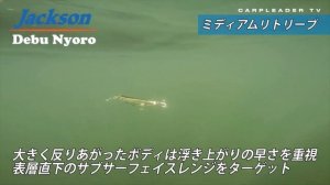 ТОП Воблер НА ЖЕРЕХА! Jackson Debu Nyoro 85