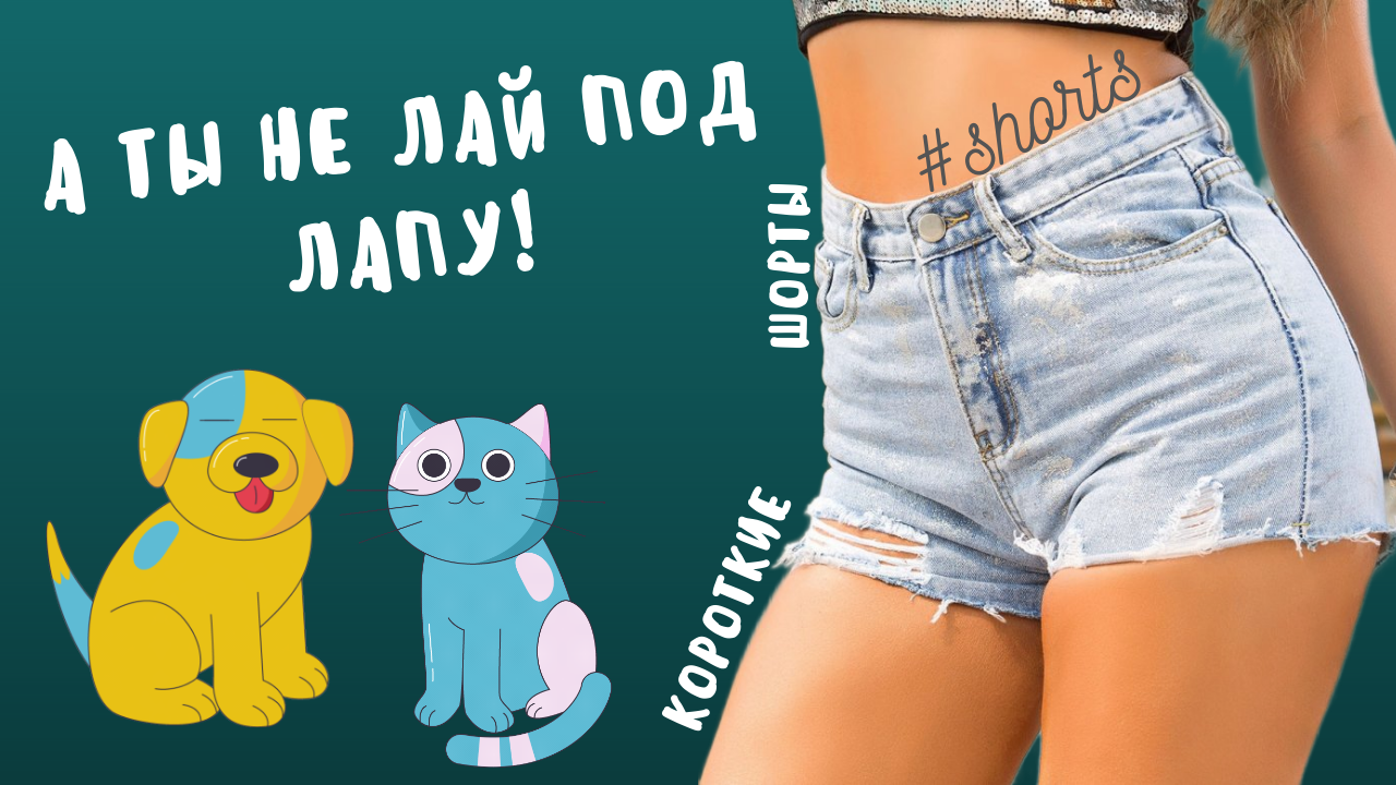 А ты не лай под лапу!..) #shorts