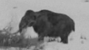 Они Выжили! 12 Динозавров Снятых на Камеру