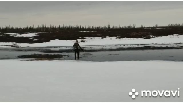 ВЕСЕННЯЯ ОХОТА НА ГУСЯ 2023.ЭТО БЫЛО охота#лучшая ??????