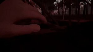 Hello neighbor act 3 cutscene glitch