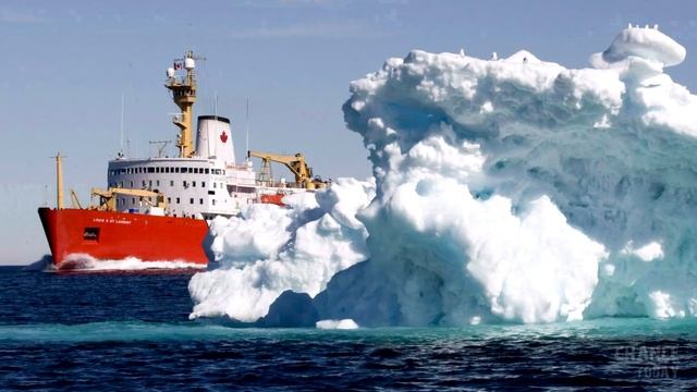 Рыбаки подумали, что нашли тюленя на айсберге, но затем они подплыли ближе смотреть онлайн