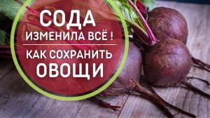 Сода изменила ВСЁ ?Хранение СВЕКЛЫ и МОРКОВИ на зиму ? Супер способ хранения овощей