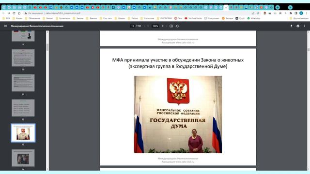Кто и что хочет сделать с фелинологией в России.