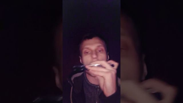 гимн СССР на губной гармошке смотреть онлайн