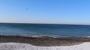 Любимая страна