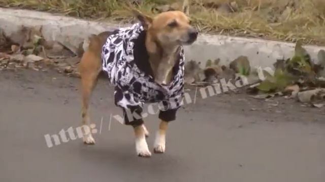 Конец света 2012