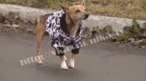 Конец света 2012