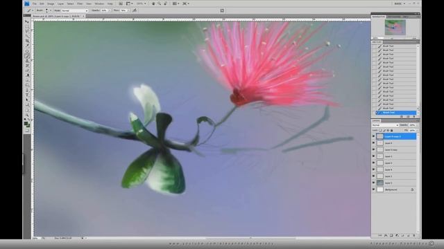 Speed painting: Xeon Flower Adobe Photoshop CS 4 смотреть онлайн