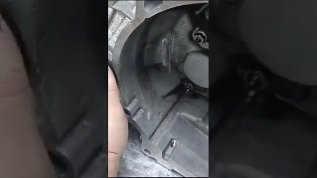 Отремонтирована очередная МКПП VAG ☎️+7(980)3058082 ремонт МКПП VAG за 1 день в Брянске ? #octavia смотреть онлайн