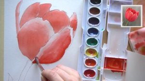 How to draw and paint a Tulip with watercolors BEGINNER TUTORIAL