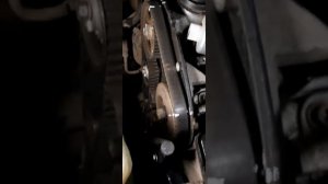 Замена помпы,сальника распредвала и коленчатого вала(на шейке коренного под-ка)Шкода Октавия 1.9тди