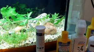 Химия для проблем с  растениями  в аквариуме.