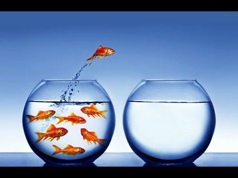 КАК ОБРЕСТИ УВЕРЕННОСТЬ