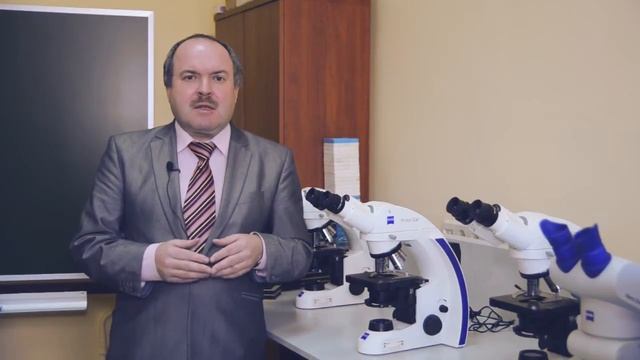 Такие разные хромосомы