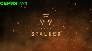 True Stalker/ Настоящий сталкер / Прохождение/ серия 1