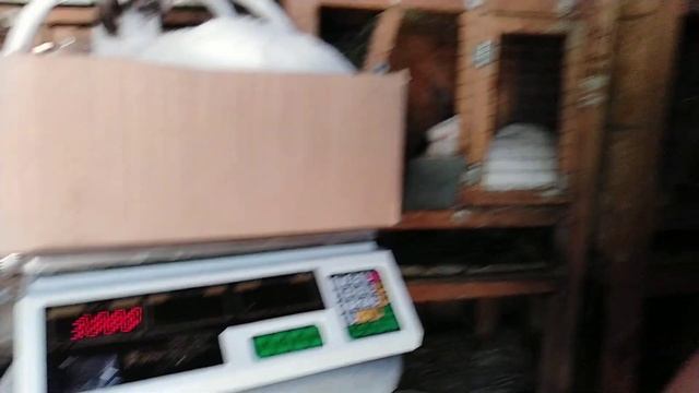 Взвешиваю кроликов перед забоем и тушками. смотреть онлайн