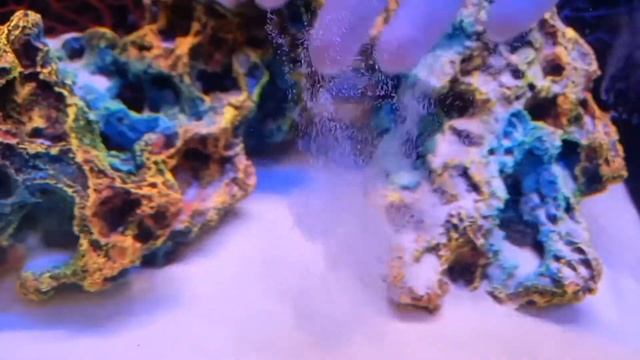 Белоснежный, очень мелкий, натуральный кварцевый песок Dennerle Plantahunter Beach 0.1-0.6мм. смотреть онлайн