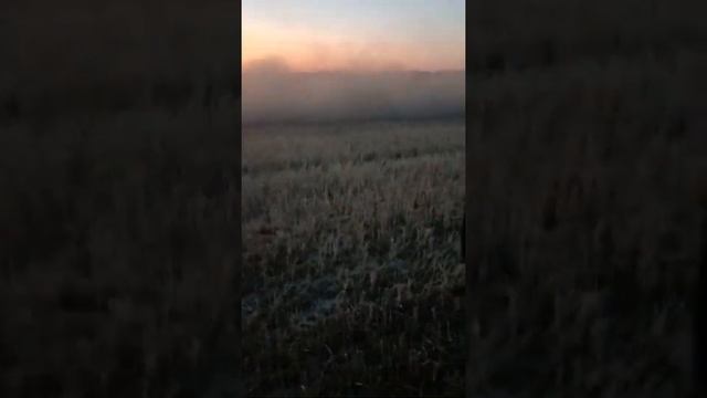 закриття вологи КД-6 Колісниця