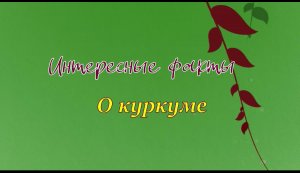 Интересные факты о куркуме