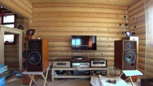 Accuphase e-305 и Yamaha cdx-2020