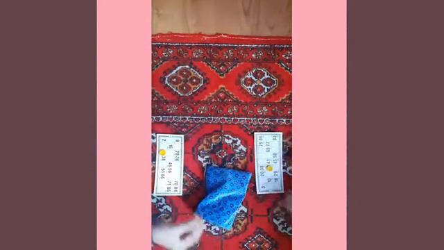 VLOG АЛИНА VS АЛИНА ИГРАЕМ LIPUCHKI LOTO, DOMINO смотреть онлайн