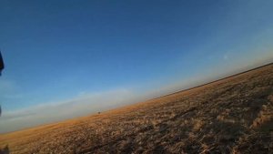 Охота на Огаря в полях 2