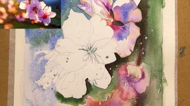 Цветы миндаля/мастер класс по акварели бесплатно