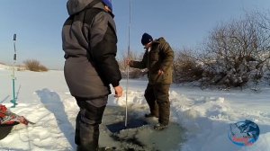 Как зимой мыть мотыля