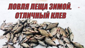 Ловля леща зимой. Подводное видео. День второй