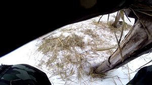 Весна, обновляю гнёзда диким уткам.